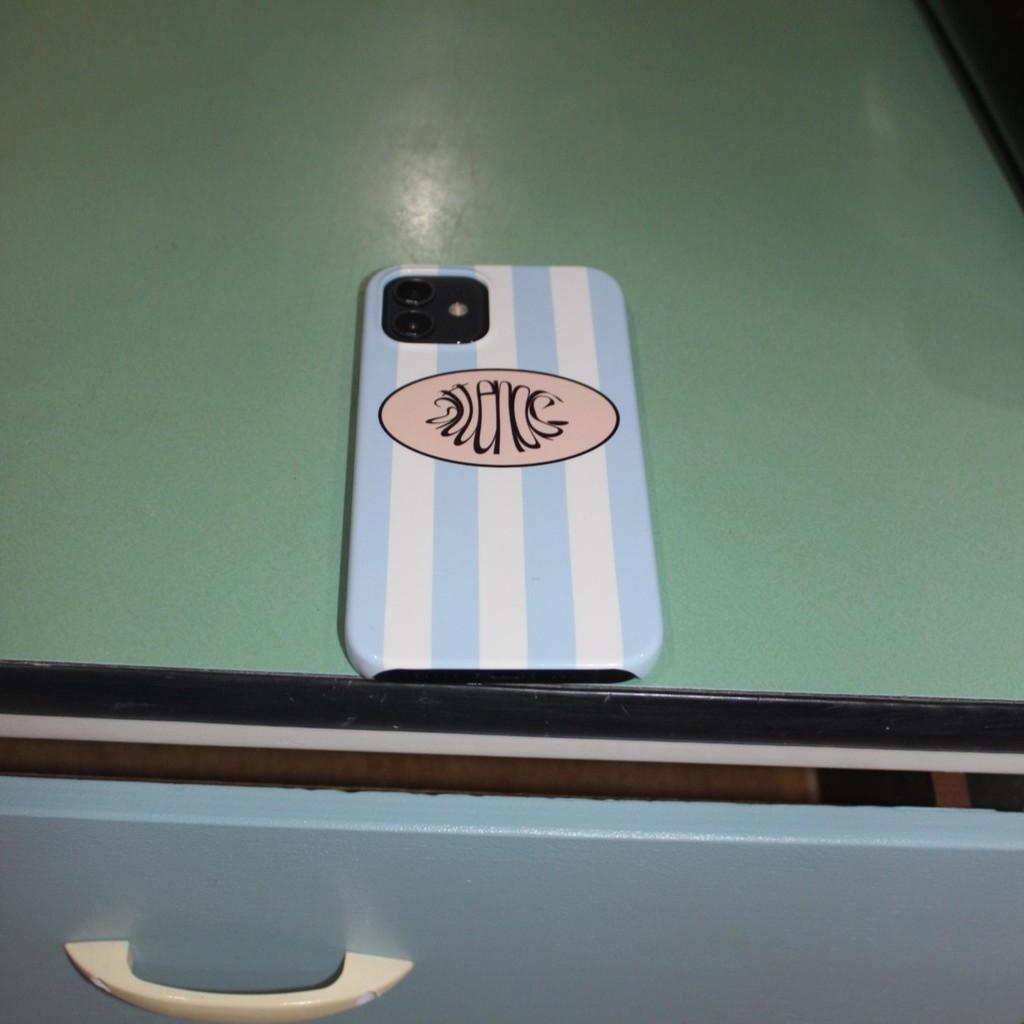 SKY BLUE & WHITE CASE