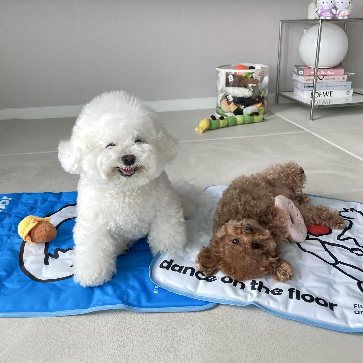 Hype reversable coolin mat (2design)