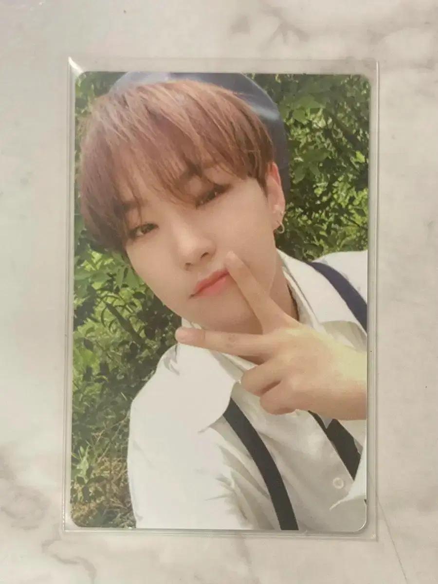 세븐틴 언오드 호프 버전 베레모 호시 포카 양도