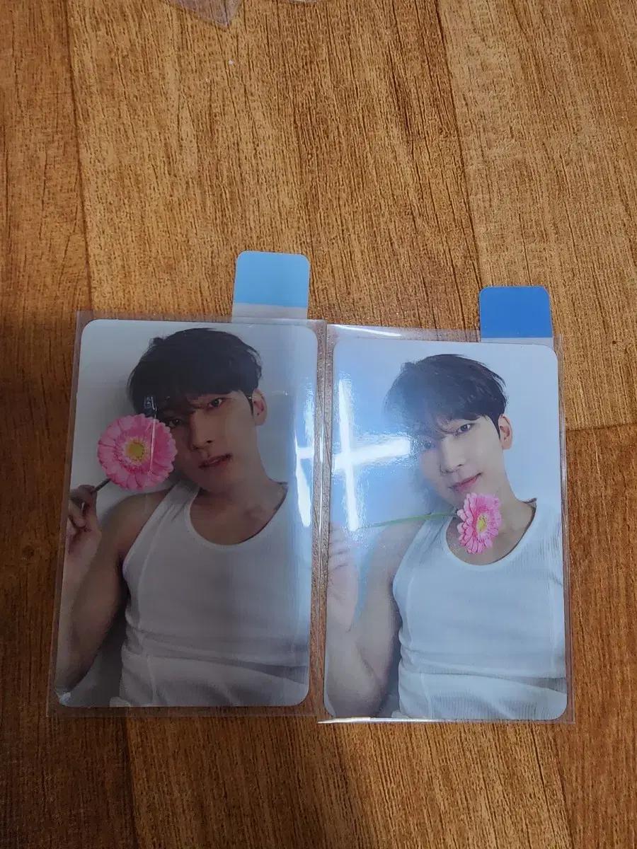 17 is right here 원우 포카