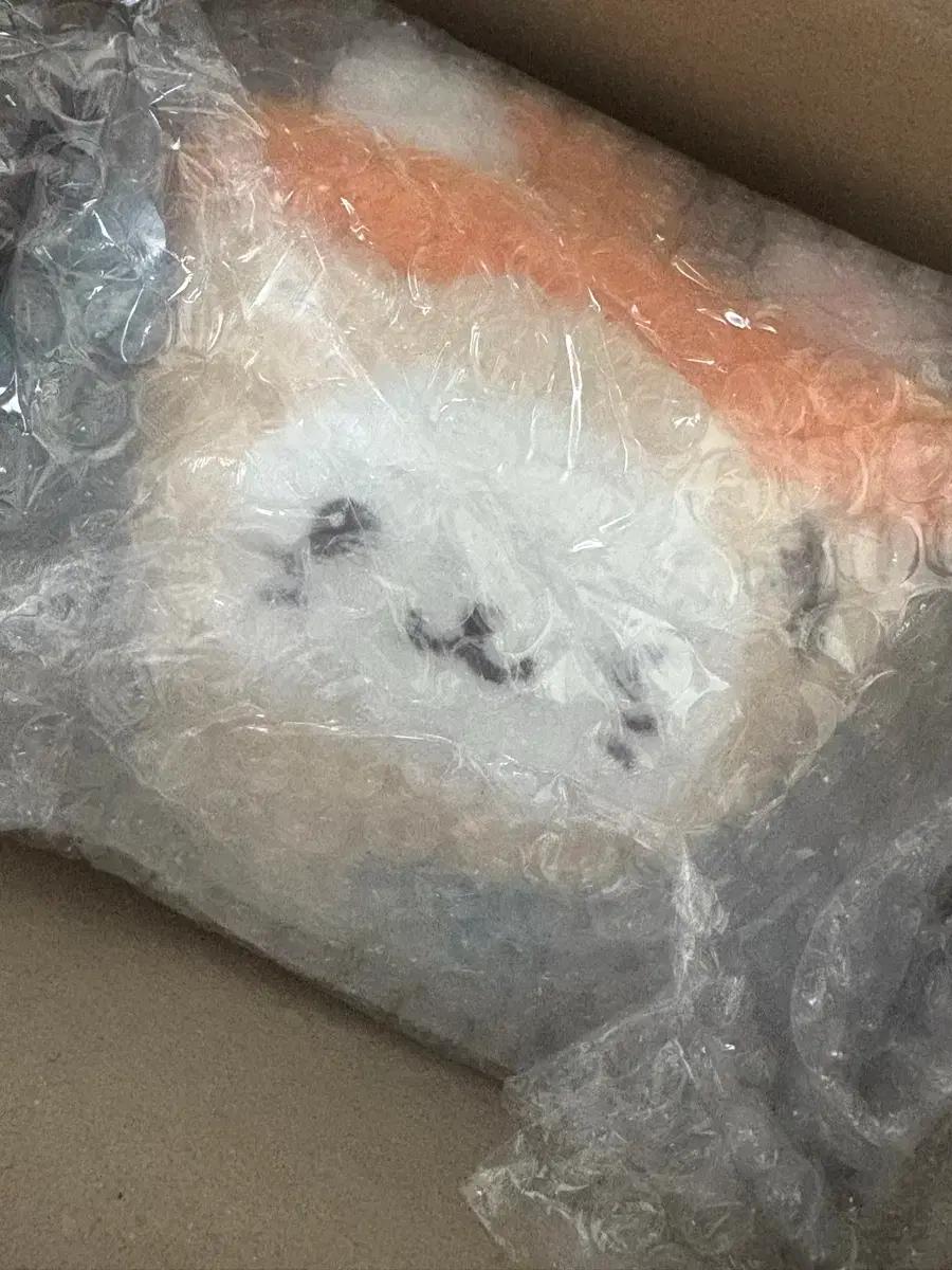 [한정판] NCT WISH Doll 버블냥