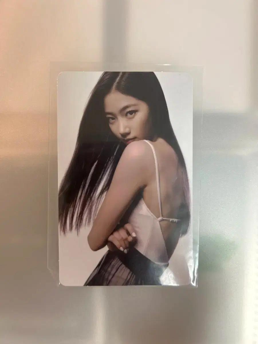 르세라핌 카즈하 포카 양도