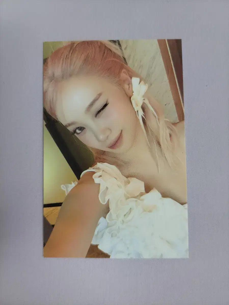르세라핌 hot 채원 공방 2주차 포카 양도