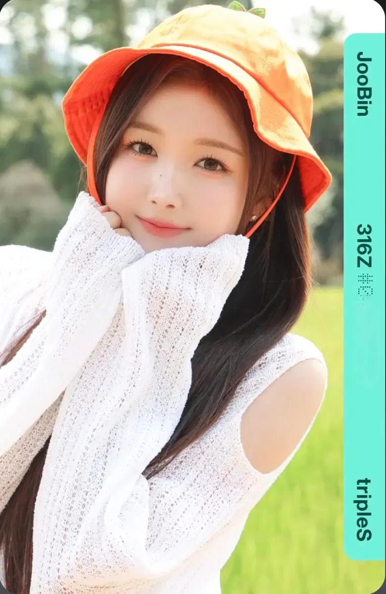 트리플에스 주빈 AA316 오브젝트