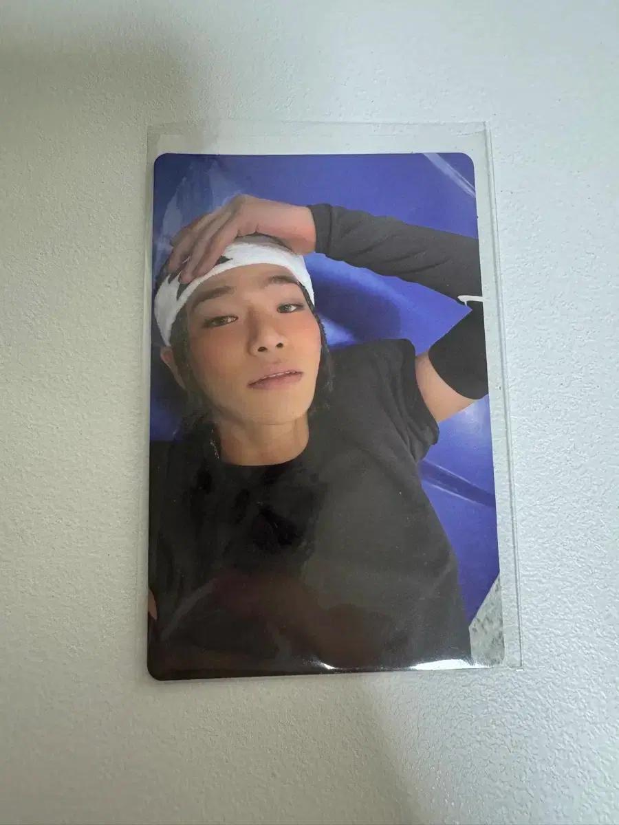 올데프 타잔 카툰키링 포카