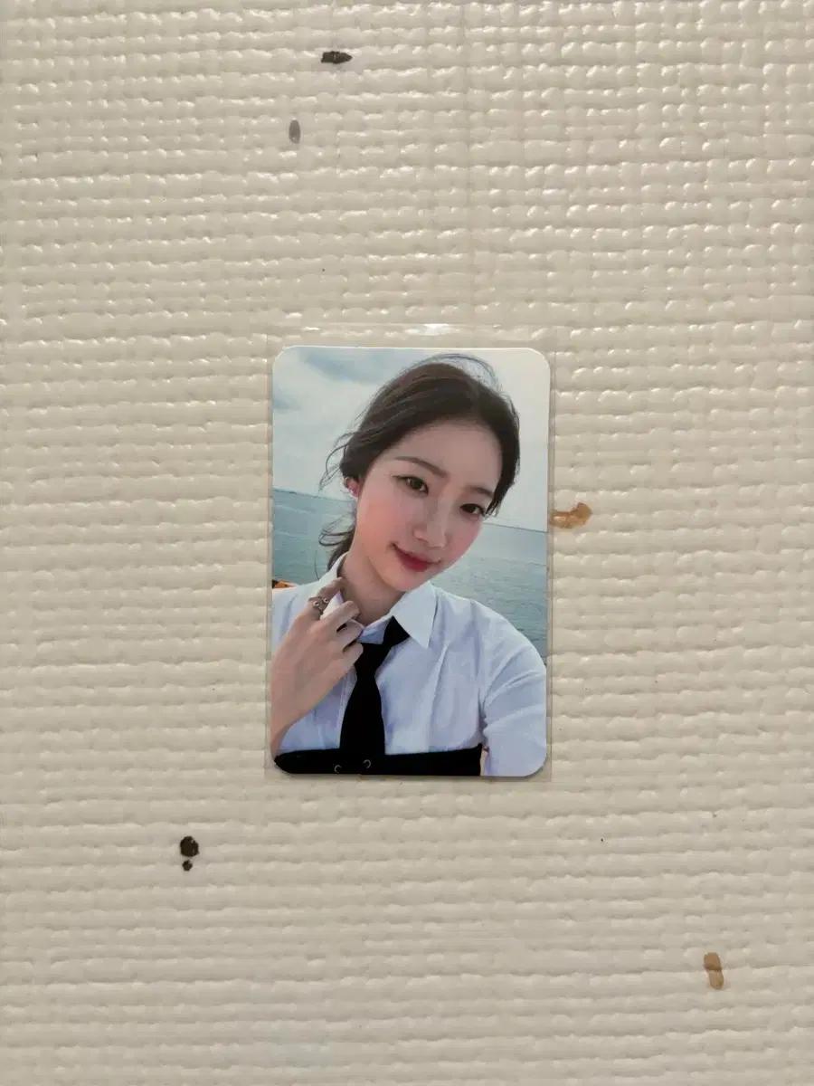 르세라핌 카즈하 포카 판매