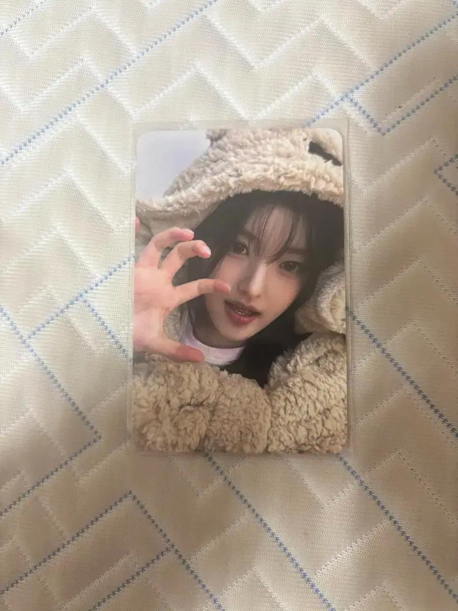 피프티피프티 fiftyfifty 아테나 곰돌이포카 양도 일괄 분철