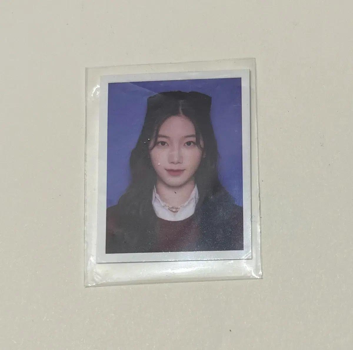 르세라핌 카즈하 시그증사