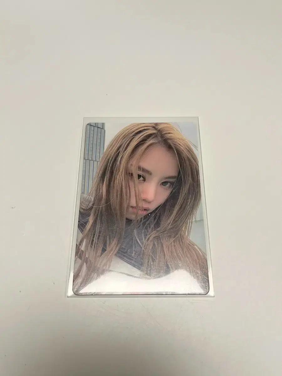 올데이프로젝트 올데프 베일리 포카