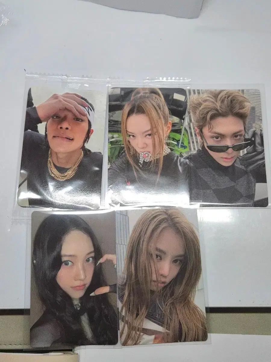 올데프 포카 양도 타잔 베일리 영서 우찬