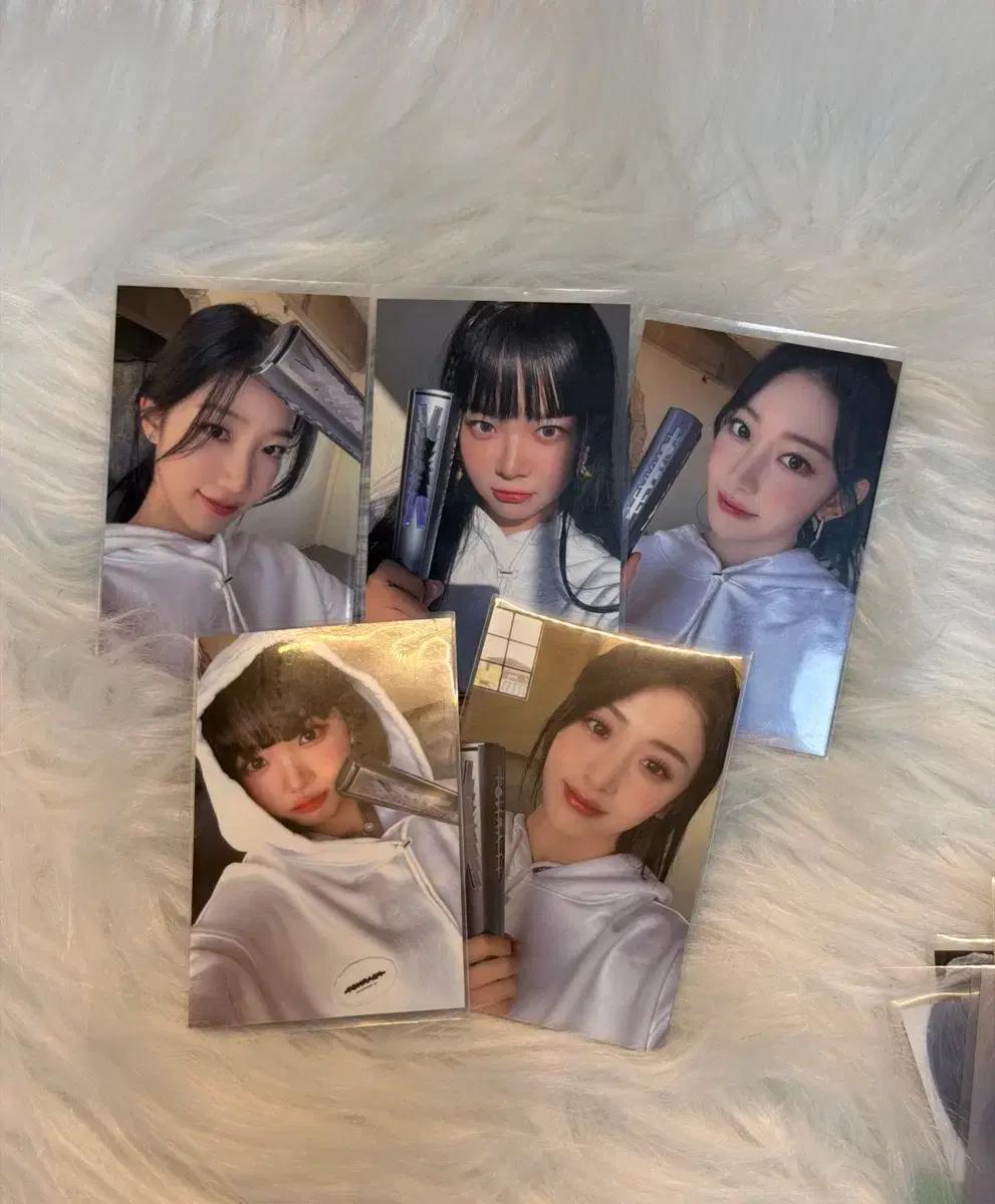 르세라핌 단체 피어나다 팬미팅 포토카드 2023
