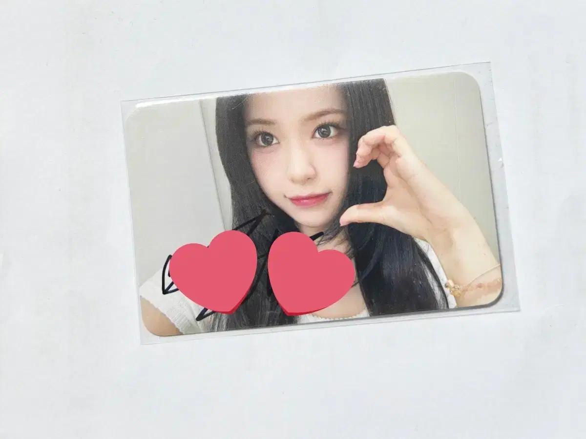 리센느 제나 싸인 포카 싸포 양도