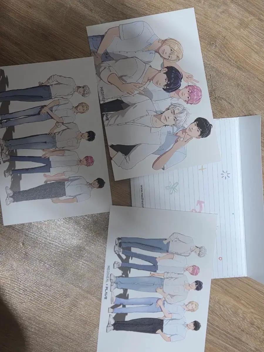 플레이브 메디힐 엽서 판매