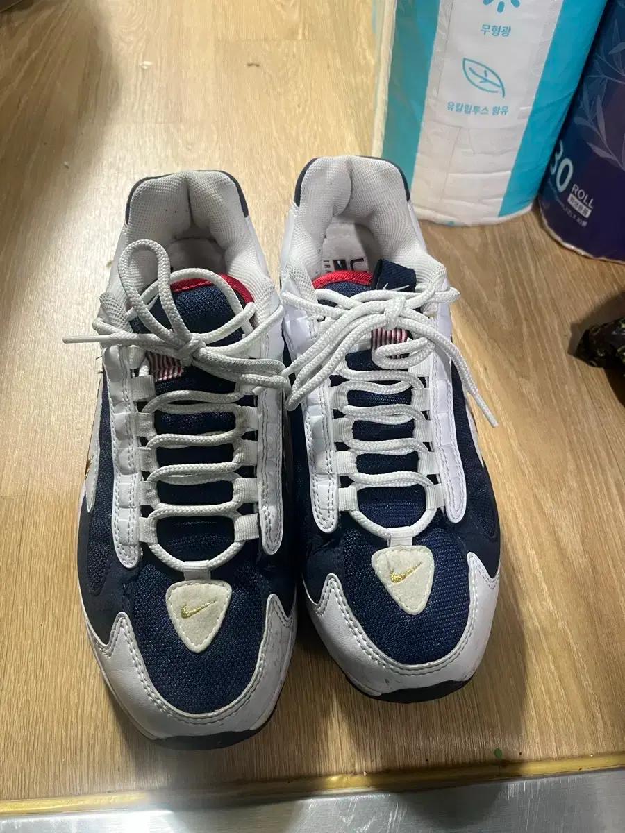 나이키 Nike Air Max Triax 96 usa 270