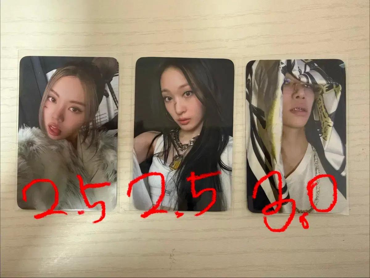 올데이프로젝트 베일리 애니 타잔 위드뮤 포카