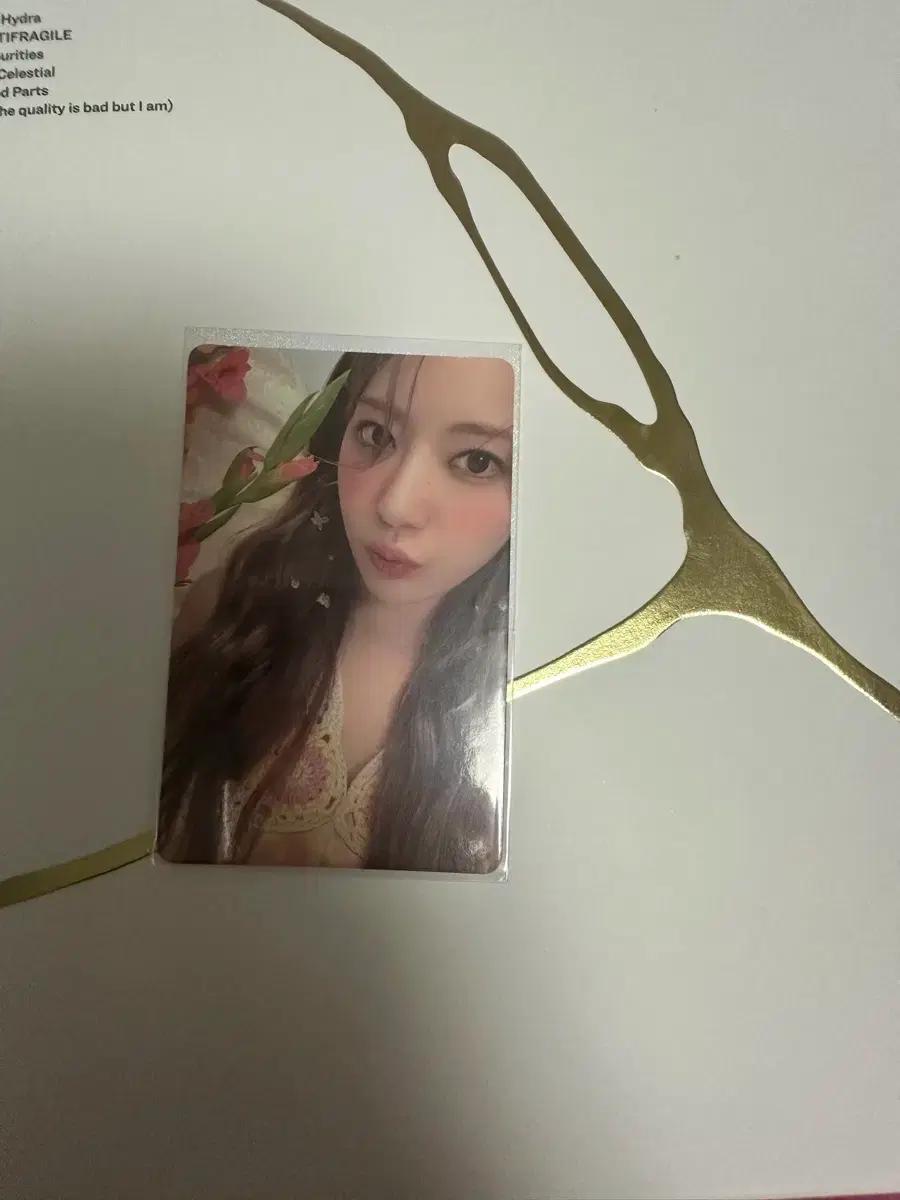 르세라핌 안티프레잘 앨범