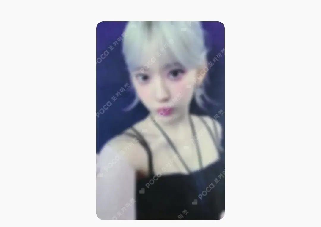 르세라핌 이지 사쿠라 아이돌스테이 판매