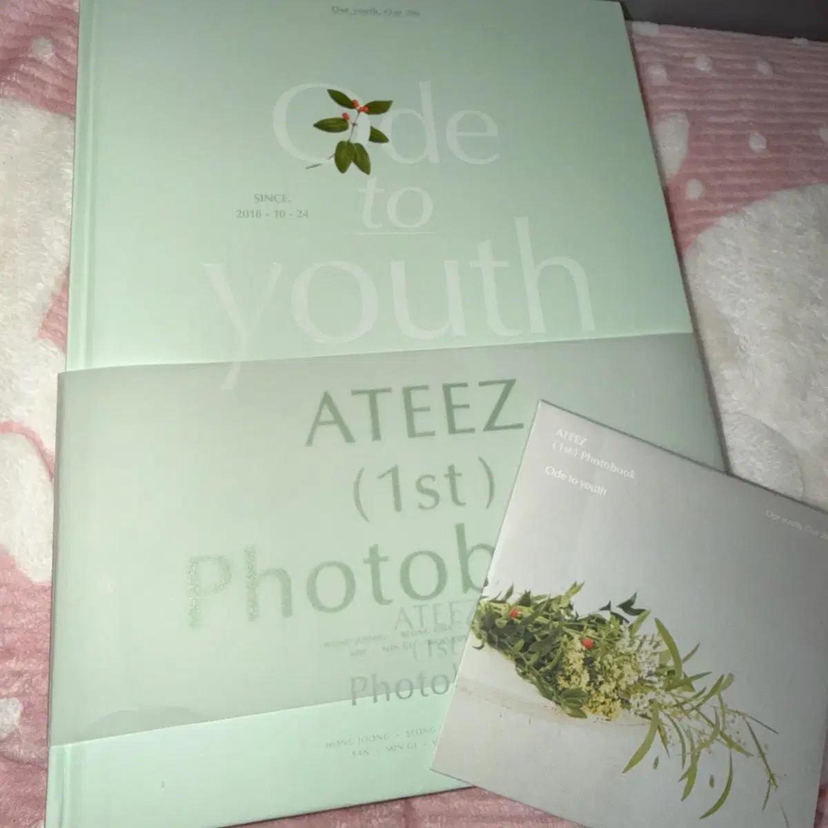 에이티즈 Ode to youth 포토북 양도
