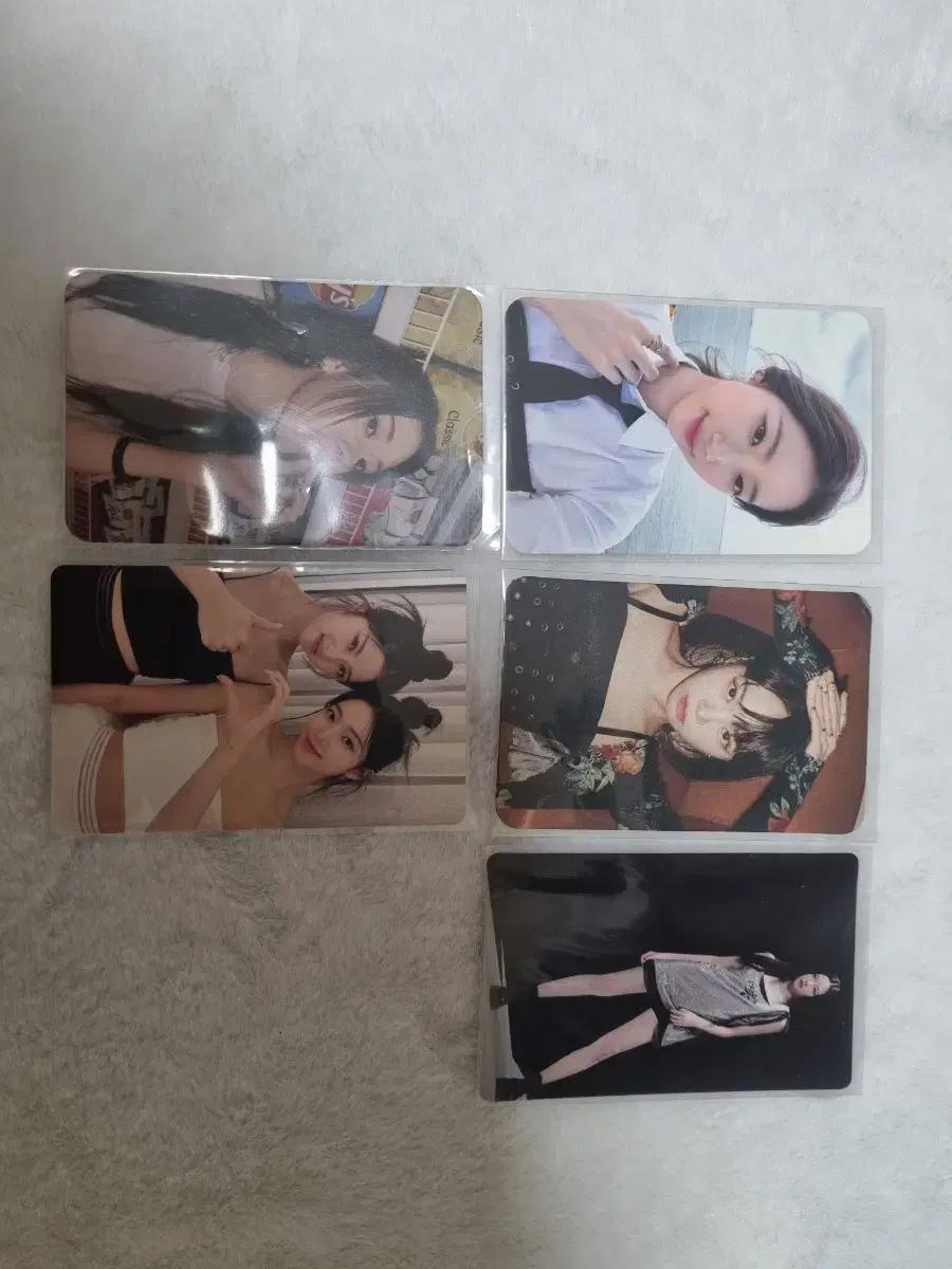 르세라핌 포토카드
