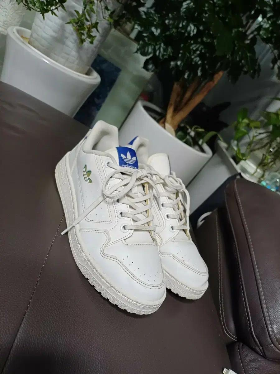 남성남자 가죽 아디다스 운동화 255