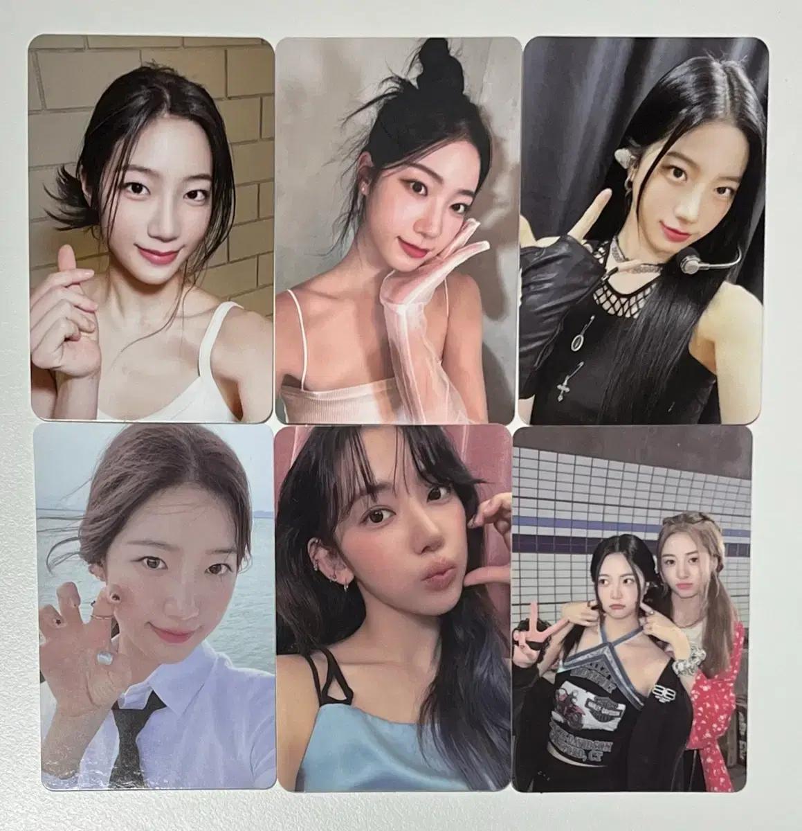 르세라핌 카즈하 사쿠라 포카