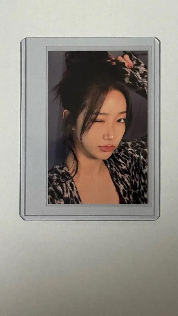 르세라핌 스파게티 카즈하 공방포카