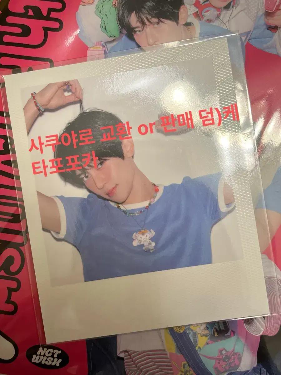 엔시티위시 시그 폴라 교환 시온->사쿠야 or 판매 덤)시온 케타포