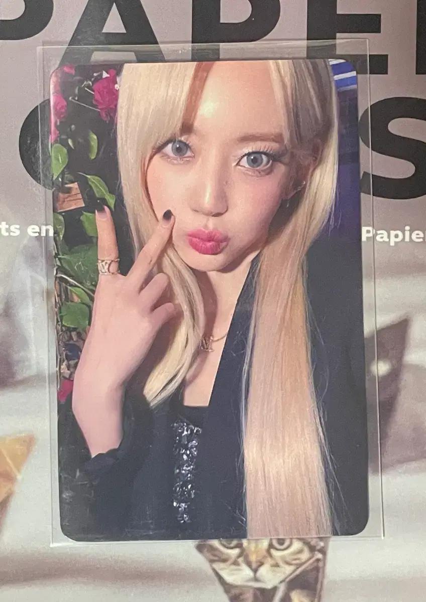 르세라핌 2024 일본 피어나다 팬미팅 코첼라 포카