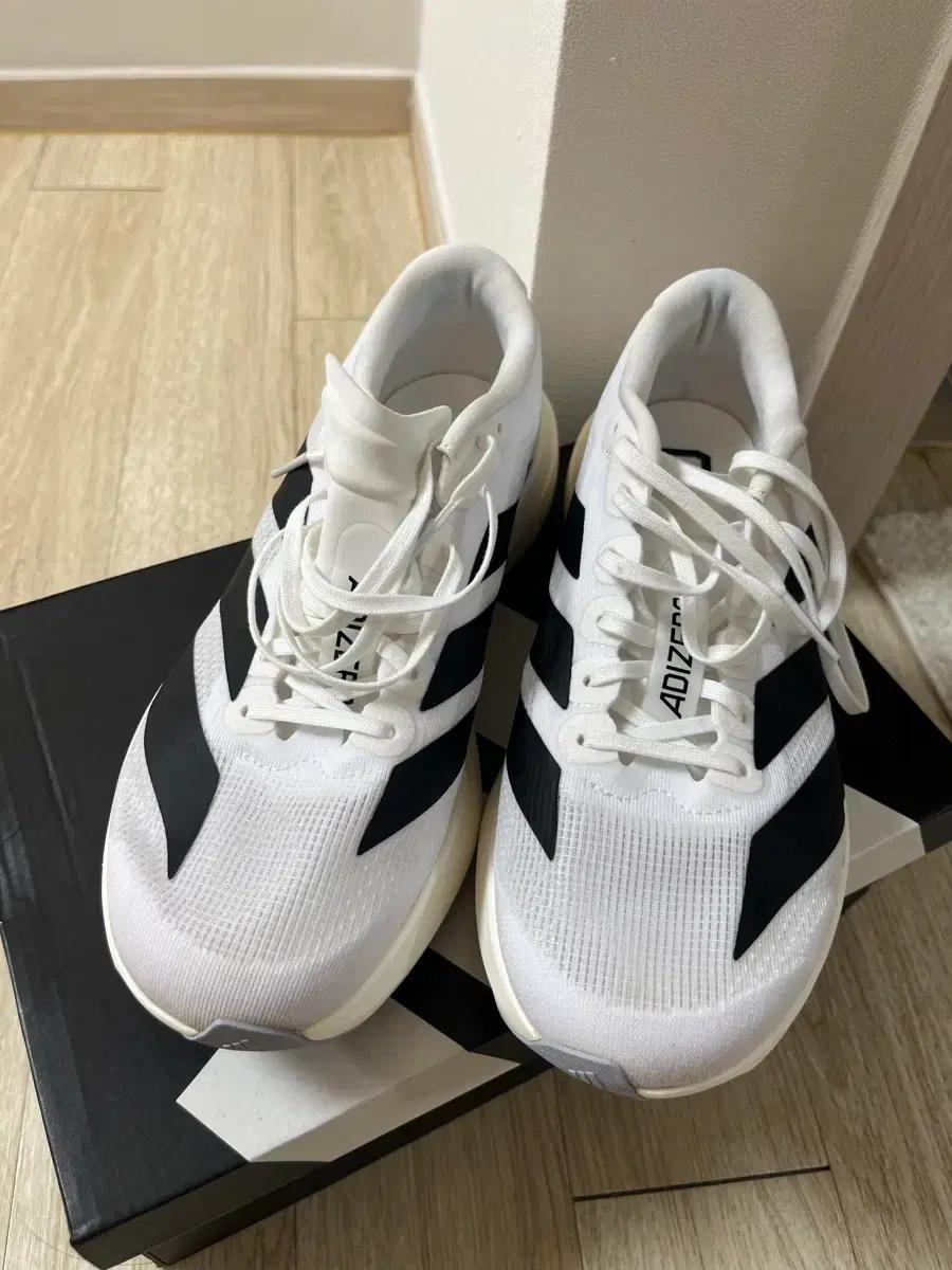 아디다스 Evo SL  런닝화 250