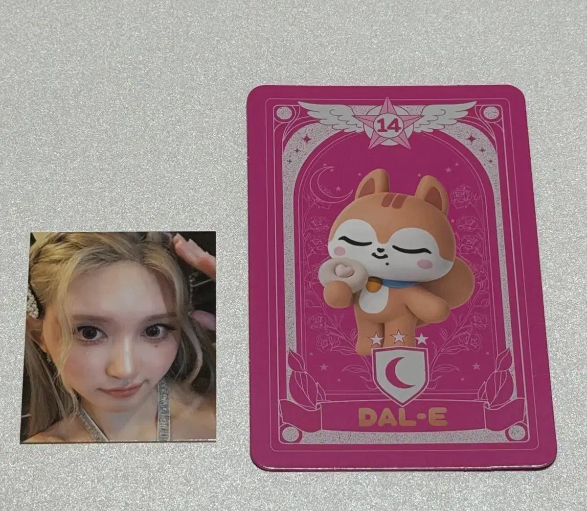 크리스피크림도넛 아이브 미니 포카 가을
