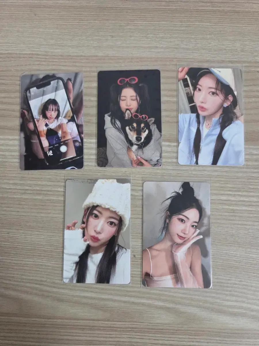 르세라핌 포카 한장당 600원(네고가능)