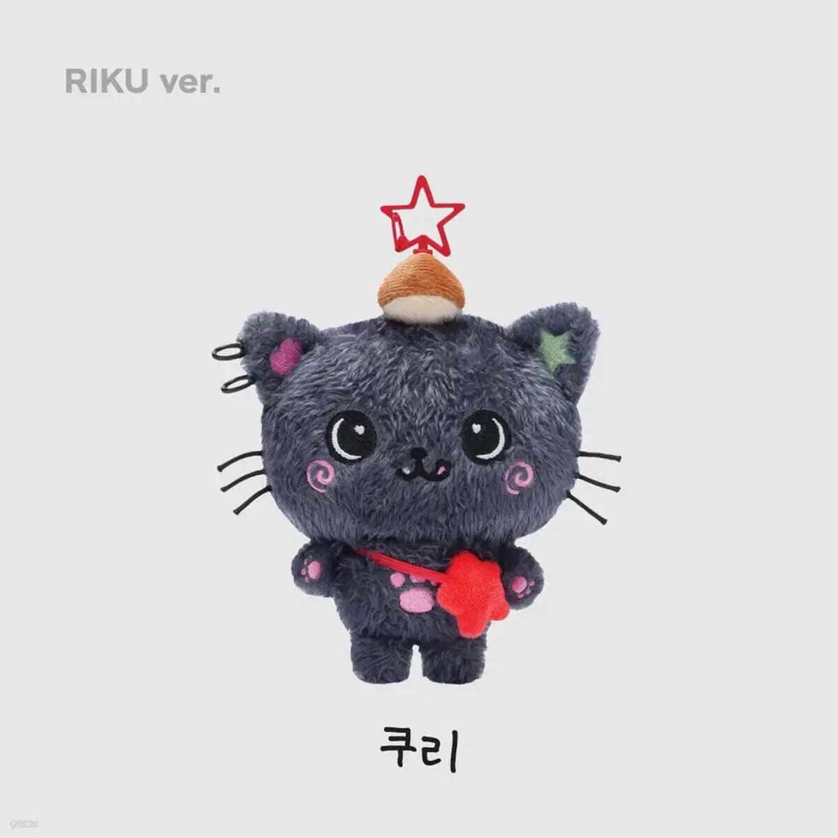 엔시티 위시 리쿠 초판 쿠리 꼬질 쿠리 양도