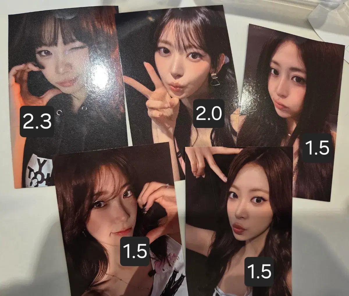 르세라핌 앙콘 피어나존 포토 카드