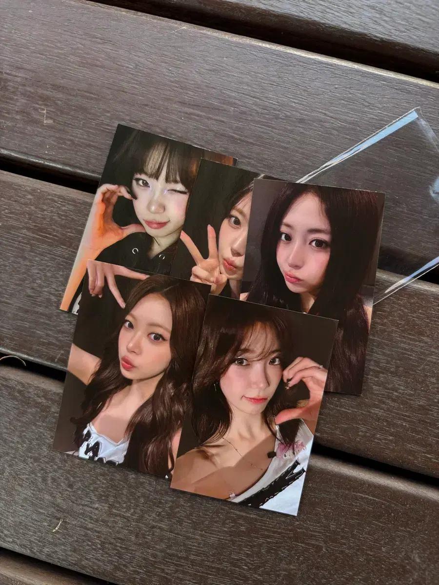 1.0르세라핌 피어나존 판매합니다
