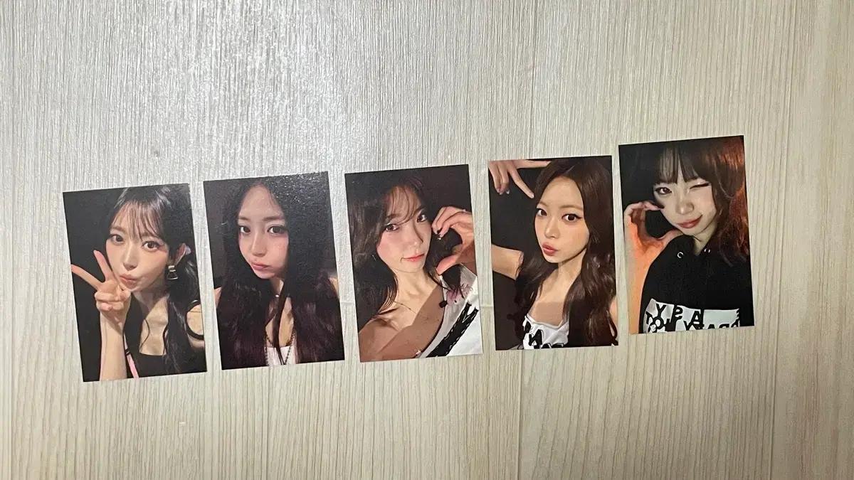 르세라핌 앙콘 피어나존 포카 일괄 양도