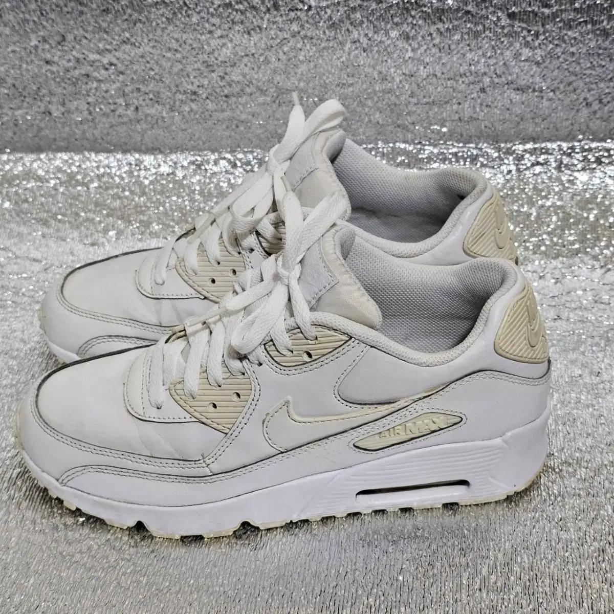 사이즈 245mm / 나이키 에어 맥스 90(Nike Air Max 90