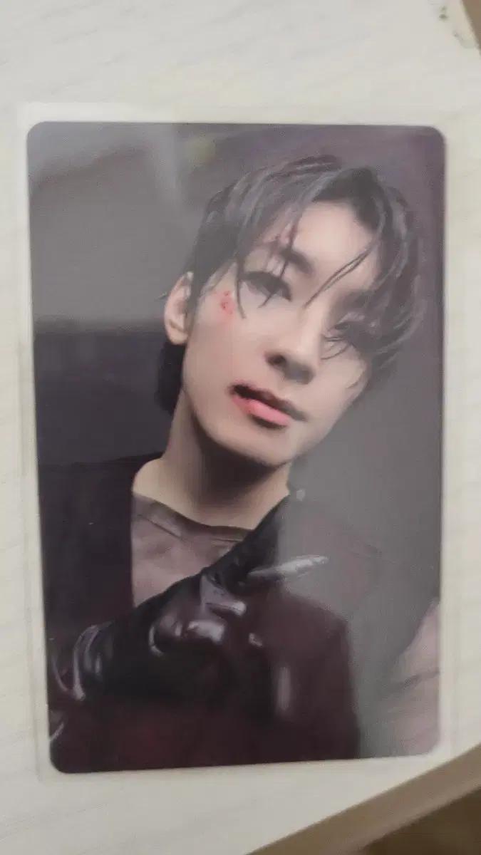 세븐틴 원우 17 is right here 위버스 럭드 특전 포카