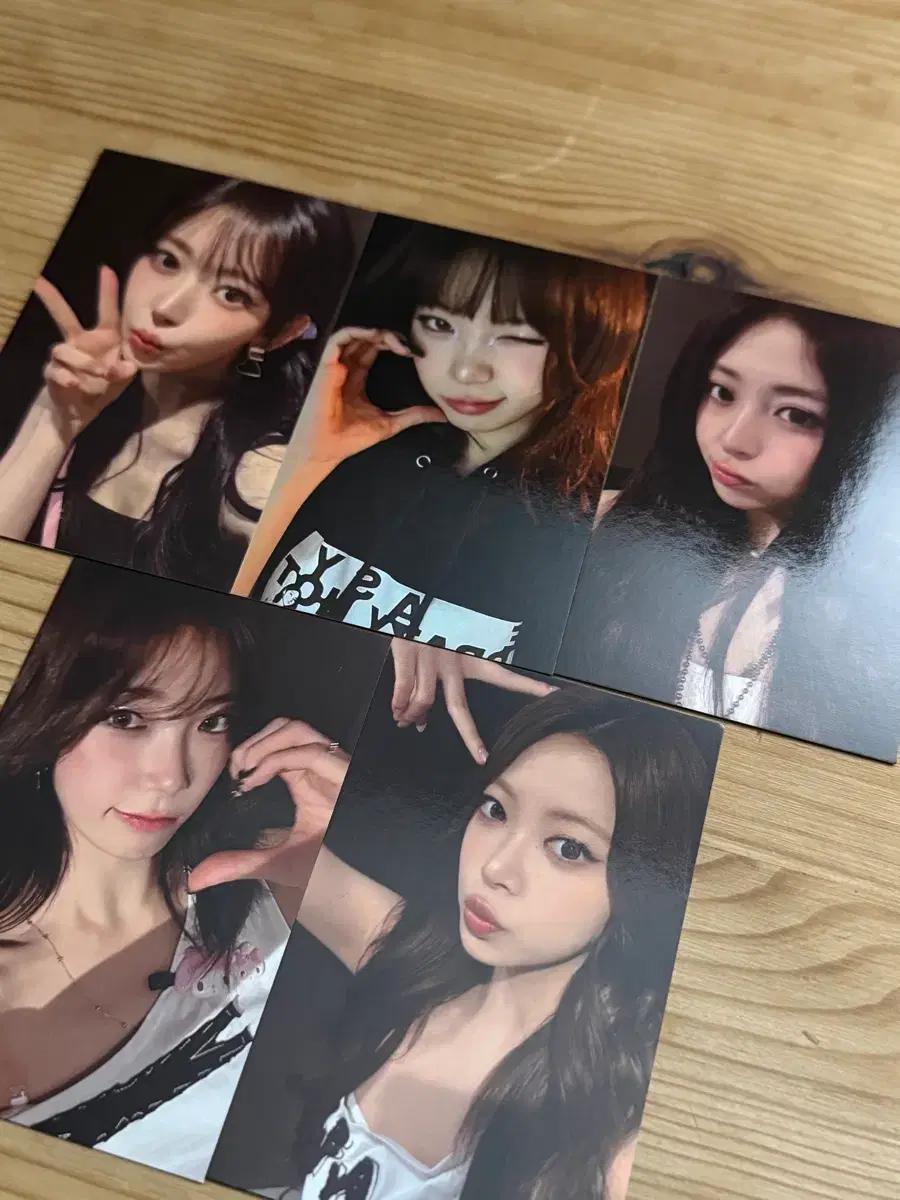 르세라핌 이크핫 앵콜콘 피어나존 포카 양도 홍은채사쿠라김채원허윤진카즈하