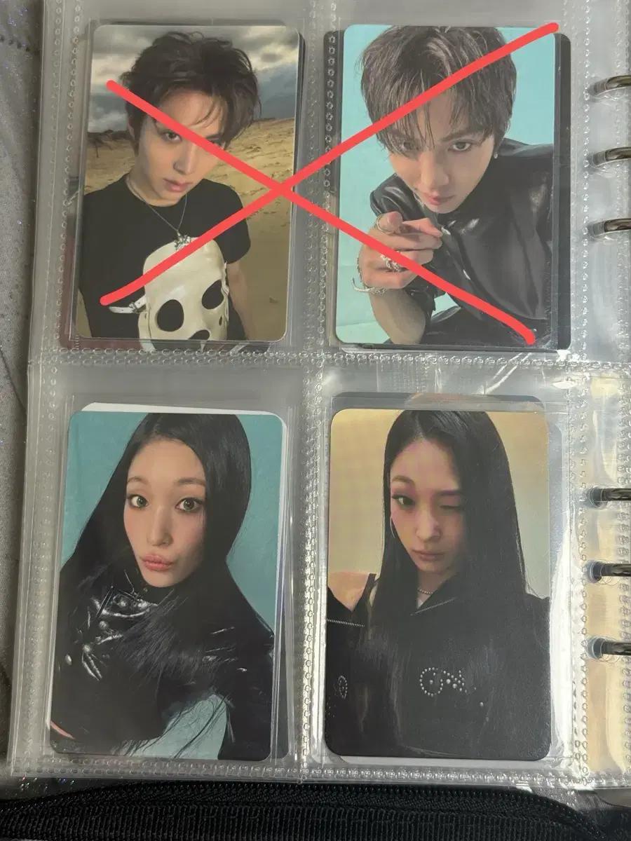 올데이프로젝프 포카 우찬 교환 올데프 애니 타잔 베일리 우찬 영서