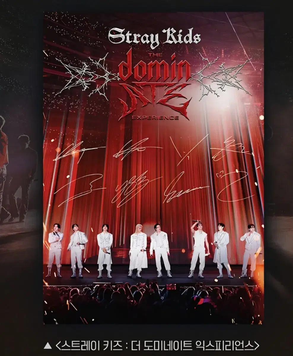 스트레이키즈 사인 엽서 straykids sign cgv 싱어롱 굿즈