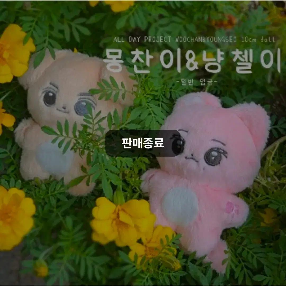 삽니다) 올데프 영서 냥첼이 인형 구합니다ㅜ