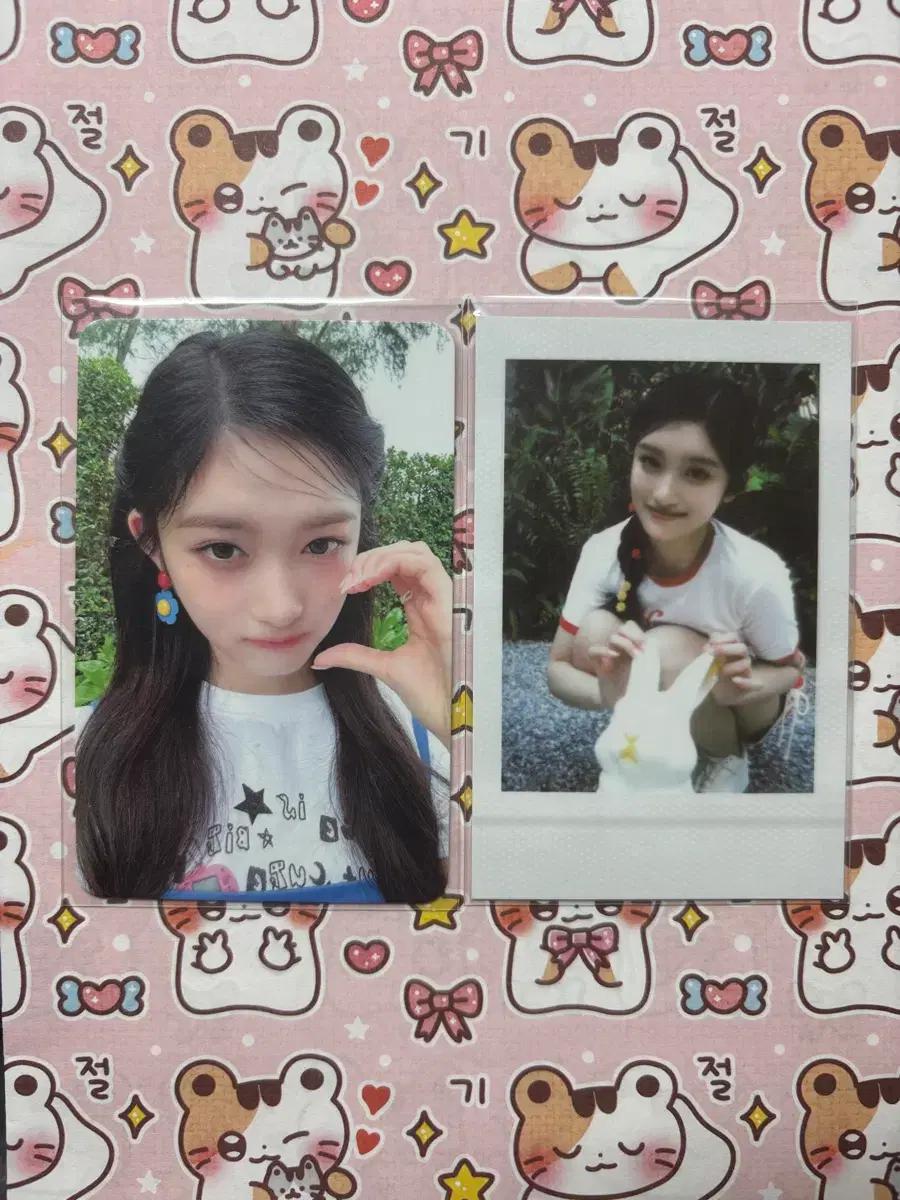 아이브 이서 포카 일괄