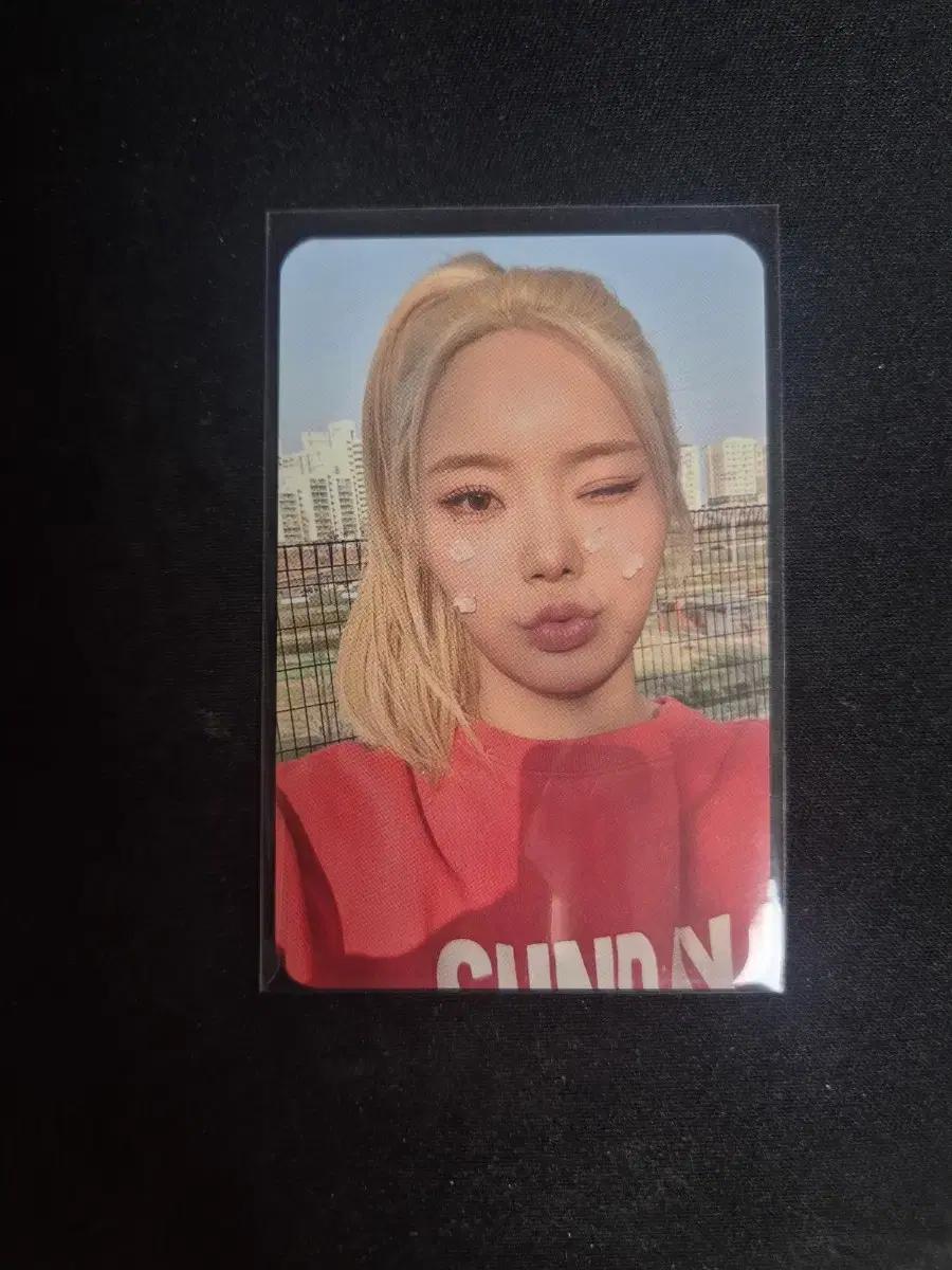 피프티피프티 키나 미공포 포카 큐피드