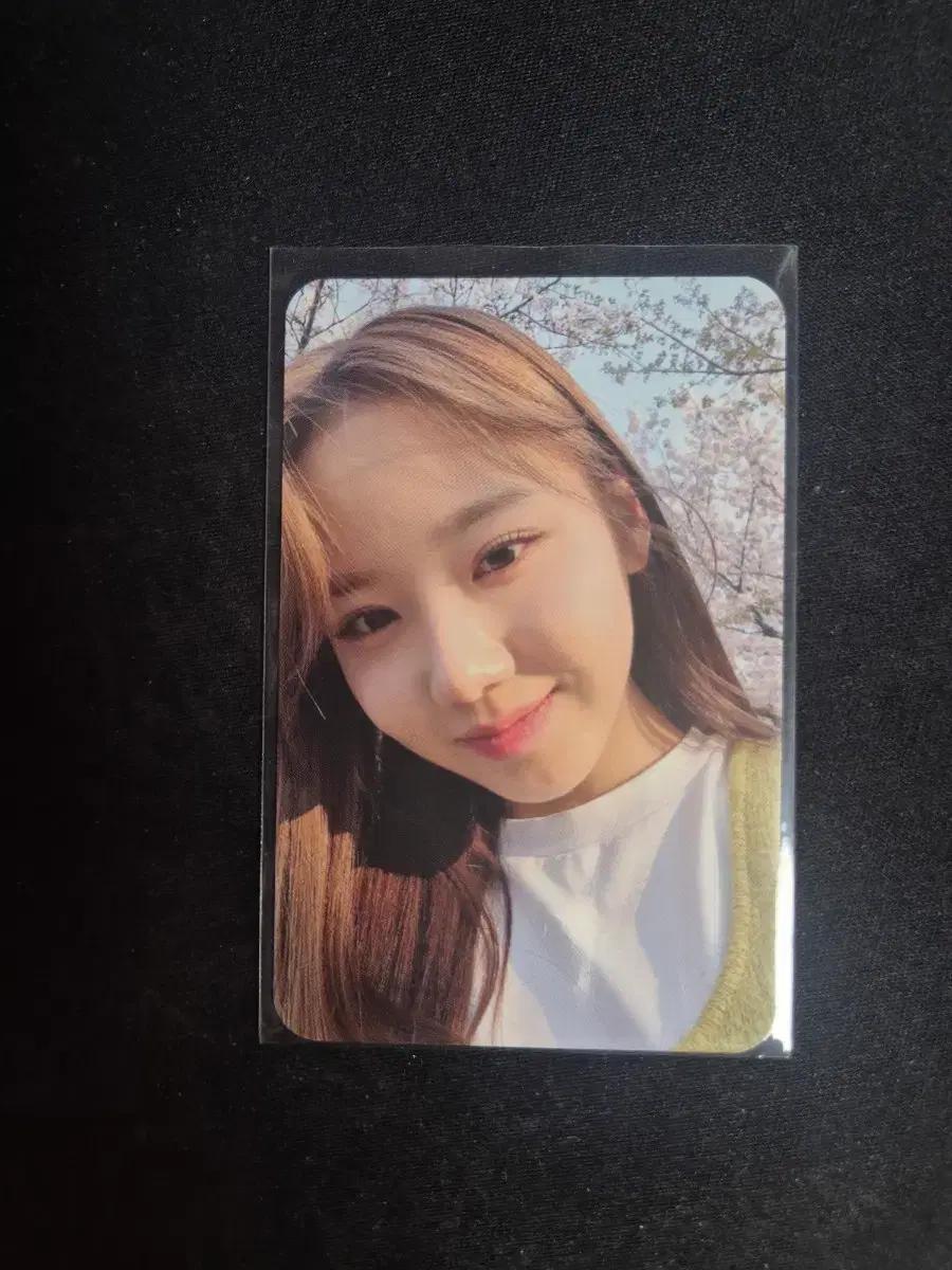 피프티피프티 새나 미공포 포카 큐피드