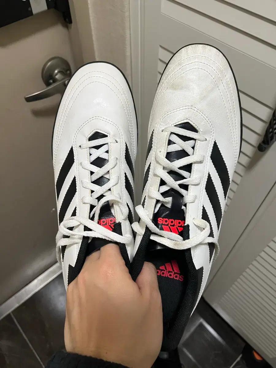 아디다스 풋살화 285-290