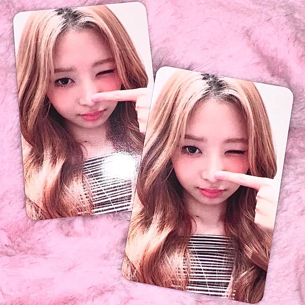 아이브 시크릿 xoxz 예티몰 레이 포카 양도 미공포 특전 판매