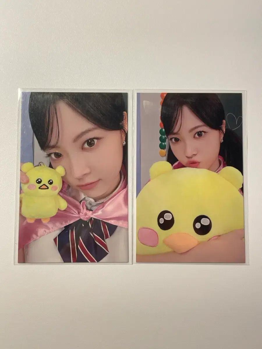 르세라핌 홍은채 핌즈클럽 포카 일괄