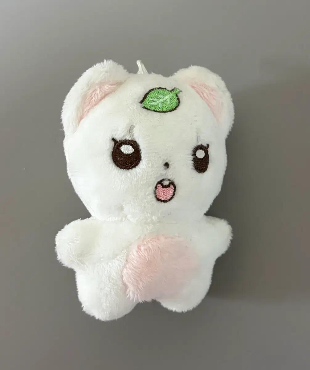 르세라핌 카즈하 잎콩이, 반다이 치비구루미 누이인형 키링 팝니다.