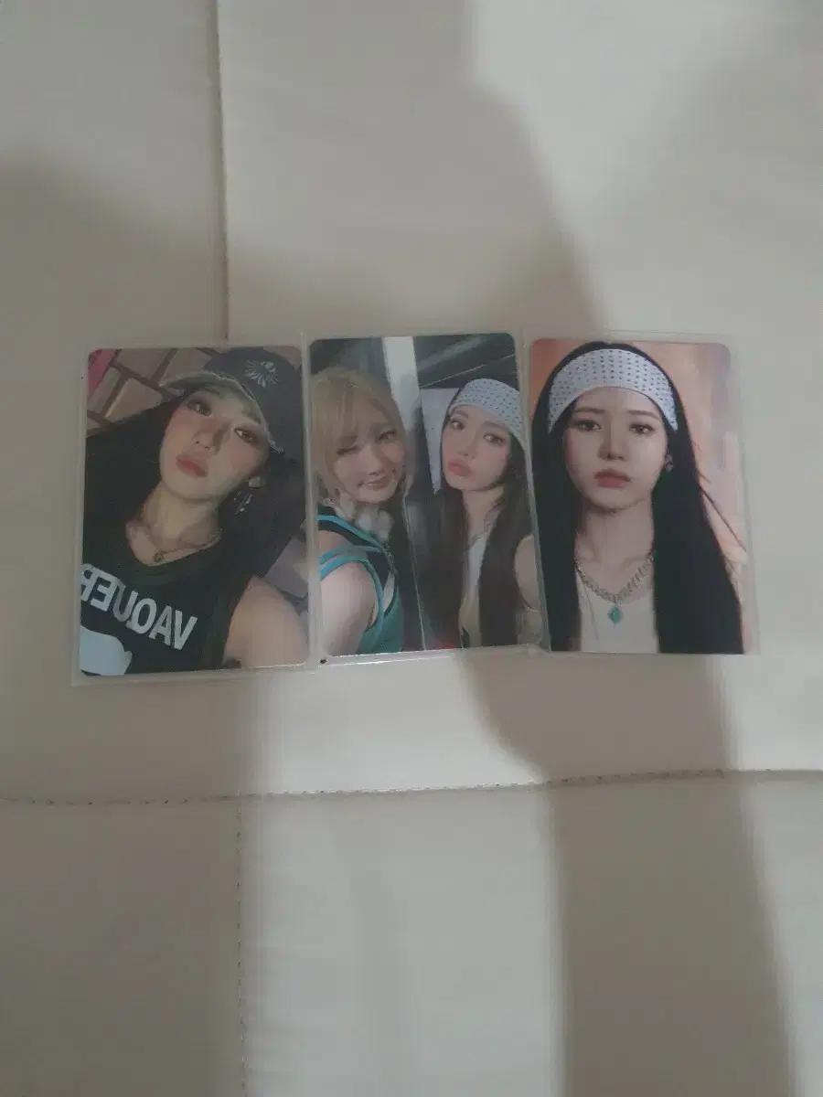 베이비몬스터 로라 포카  일괄