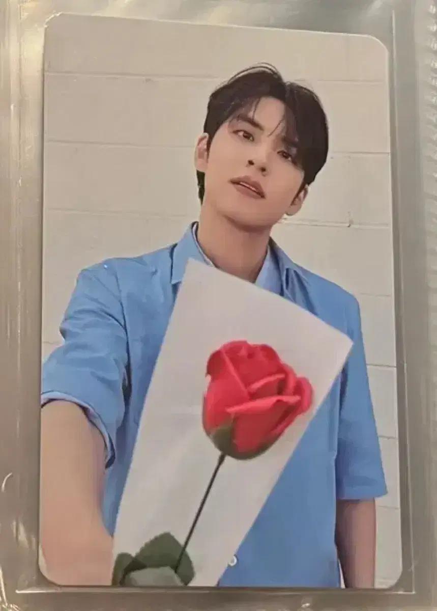 데이식스 더 데케이드 오프라인 엠디 원필 도운 5만원포카 일괄판매